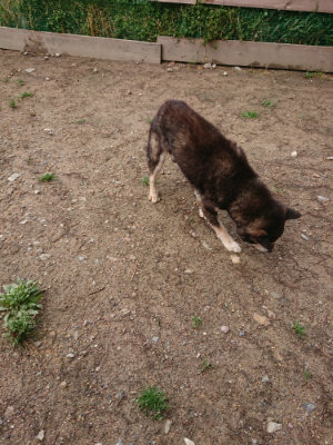 f:id:roukenhome-ann:20190521125410j:plain