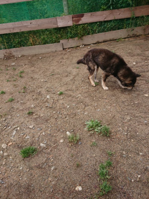 f:id:roukenhome-ann:20190521125432j:plain