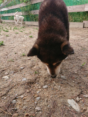 f:id:roukenhome-ann:20190521125501j:plain