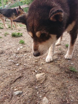 f:id:roukenhome-ann:20190521125513j:plain
