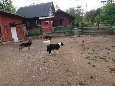f:id:roukenhome-ann:20190521125535j:plain