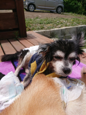 f:id:roukenhome-ann:20190521125613j:plain