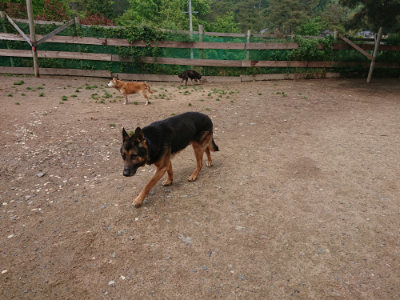 f:id:roukenhome-ann:20190521125630j:plain