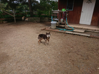 f:id:roukenhome-ann:20190521125636j:plain
