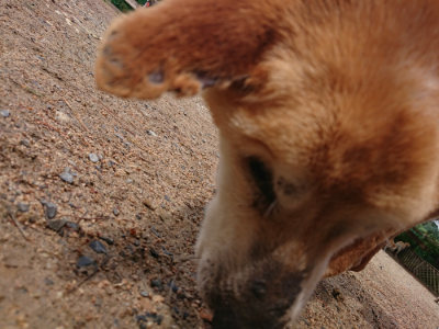 f:id:roukenhome-ann:20190521125651j:plain