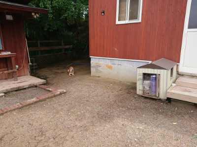 f:id:roukenhome-ann:20190521125723j:plain