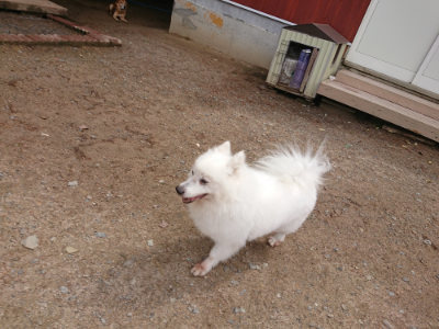 f:id:roukenhome-ann:20190521125728j:plain