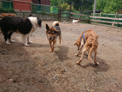 f:id:roukenhome-ann:20190521125752j:plain