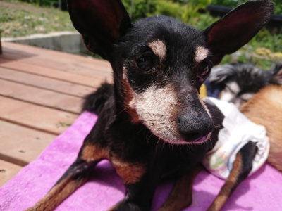f:id:roukenhome-ann:20190521125757j:plain