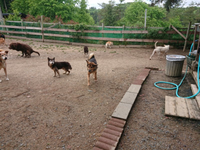 f:id:roukenhome-ann:20190521125912j:plain