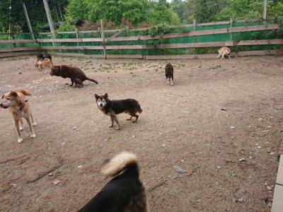 f:id:roukenhome-ann:20190521125917j:plain