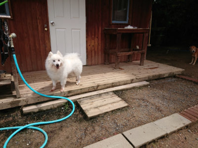 f:id:roukenhome-ann:20190521130015j:plain