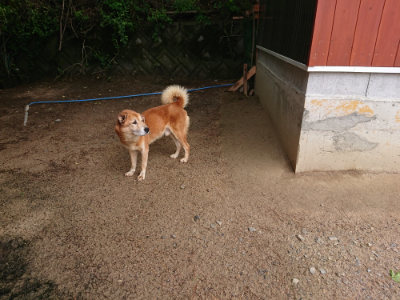 f:id:roukenhome-ann:20190521130132j:plain