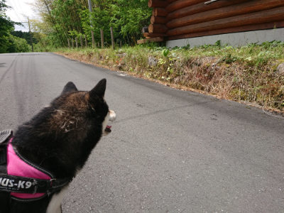 f:id:roukenhome-ann:20190521130144j:plain