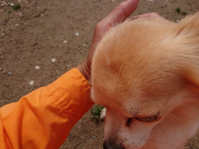 f:id:roukenhome-ann:20190521130352j:plain