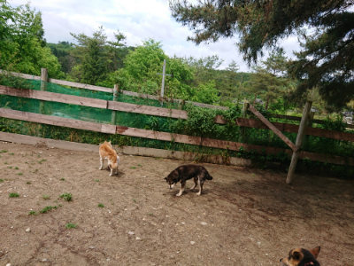 f:id:roukenhome-ann:20190521130410j:plain