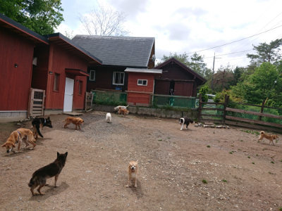 f:id:roukenhome-ann:20190521130422j:plain