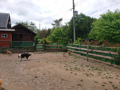 f:id:roukenhome-ann:20190521130427j:plain
