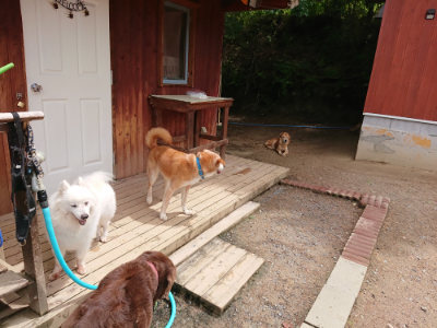 f:id:roukenhome-ann:20190521130433j:plain