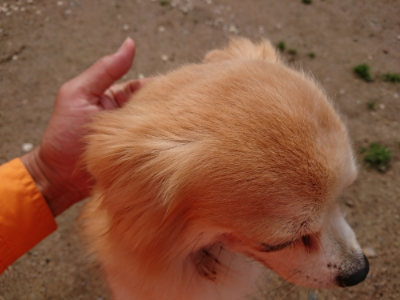 f:id:roukenhome-ann:20190521130437j:plain