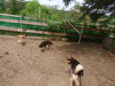 f:id:roukenhome-ann:20190521130456j:plain