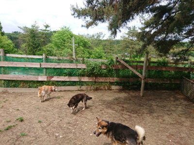 f:id:roukenhome-ann:20190521130502j:plain