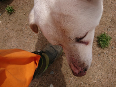 f:id:roukenhome-ann:20190521130522j:plain