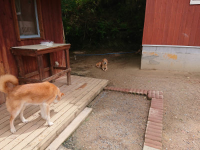 f:id:roukenhome-ann:20190521130540j:plain