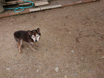 f:id:roukenhome-ann:20190521130552j:plain