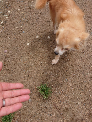 f:id:roukenhome-ann:20190521130615j:plain