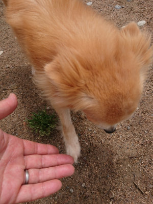 f:id:roukenhome-ann:20190521130620j:plain
