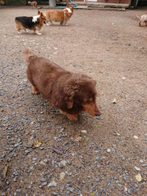 f:id:roukenhome-ann:20190521150140j:plain