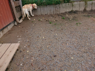 f:id:roukenhome-ann:20190521150145j:plain