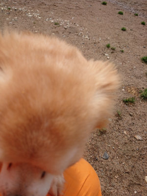f:id:roukenhome-ann:20190521150156j:plain