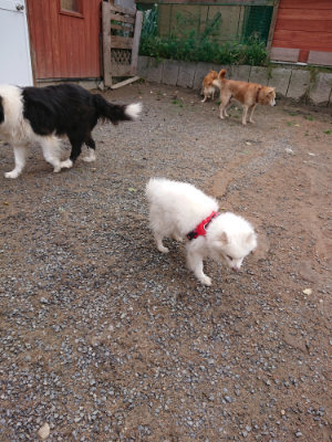 f:id:roukenhome-ann:20190521150206j:plain