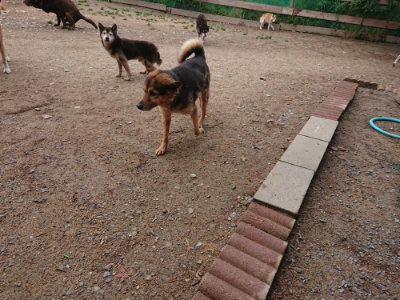 f:id:roukenhome-ann:20190521150212j:plain