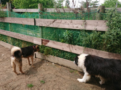 f:id:roukenhome-ann:20190521150219j:plain