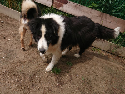 f:id:roukenhome-ann:20190521150224j:plain