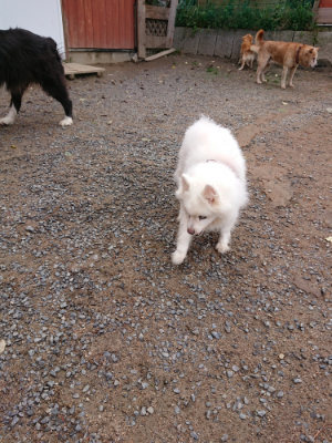 f:id:roukenhome-ann:20190521150229j:plain