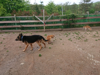 f:id:roukenhome-ann:20190521150256j:plain