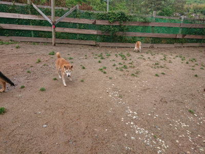 f:id:roukenhome-ann:20190521150301j:plain