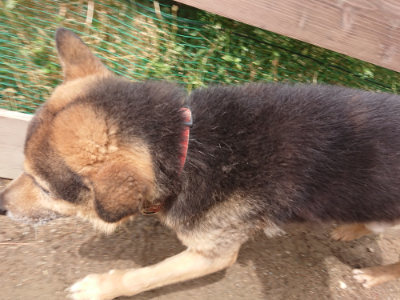 f:id:roukenhome-ann:20190521150338j:plain