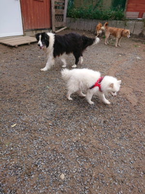 f:id:roukenhome-ann:20190521150349j:plain