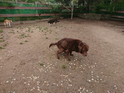 f:id:roukenhome-ann:20190521150355j:plain