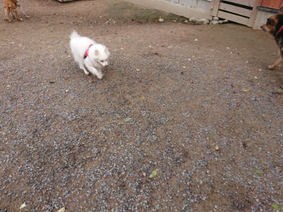 f:id:roukenhome-ann:20190521150427j:plain