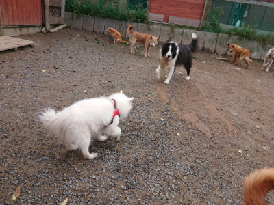 f:id:roukenhome-ann:20190521150448j:plain