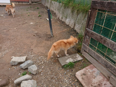 f:id:roukenhome-ann:20190521150523j:plain