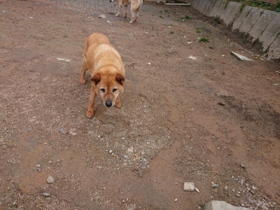 f:id:roukenhome-ann:20190521150536j:plain