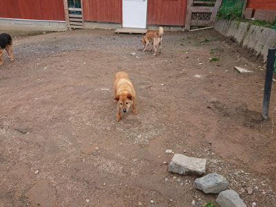 f:id:roukenhome-ann:20190521150552j:plain
