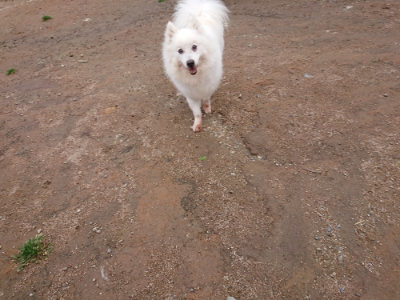 f:id:roukenhome-ann:20190521150620j:plain